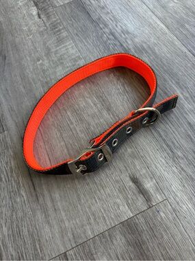 New Dog Collar
